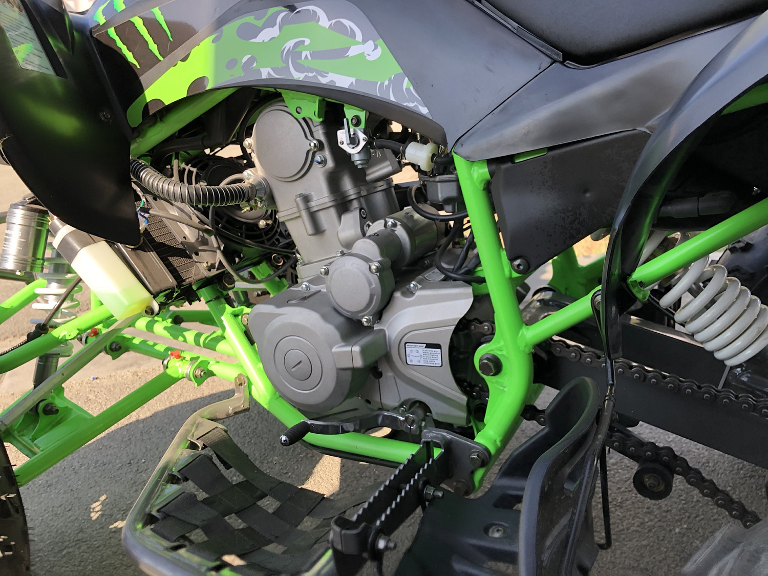 Квадроцикл PROMAX RAPTOR 300 NEW Monster в Омске