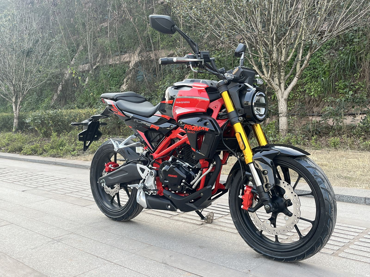 Мотоцикл PROMAX CB300 в Омске