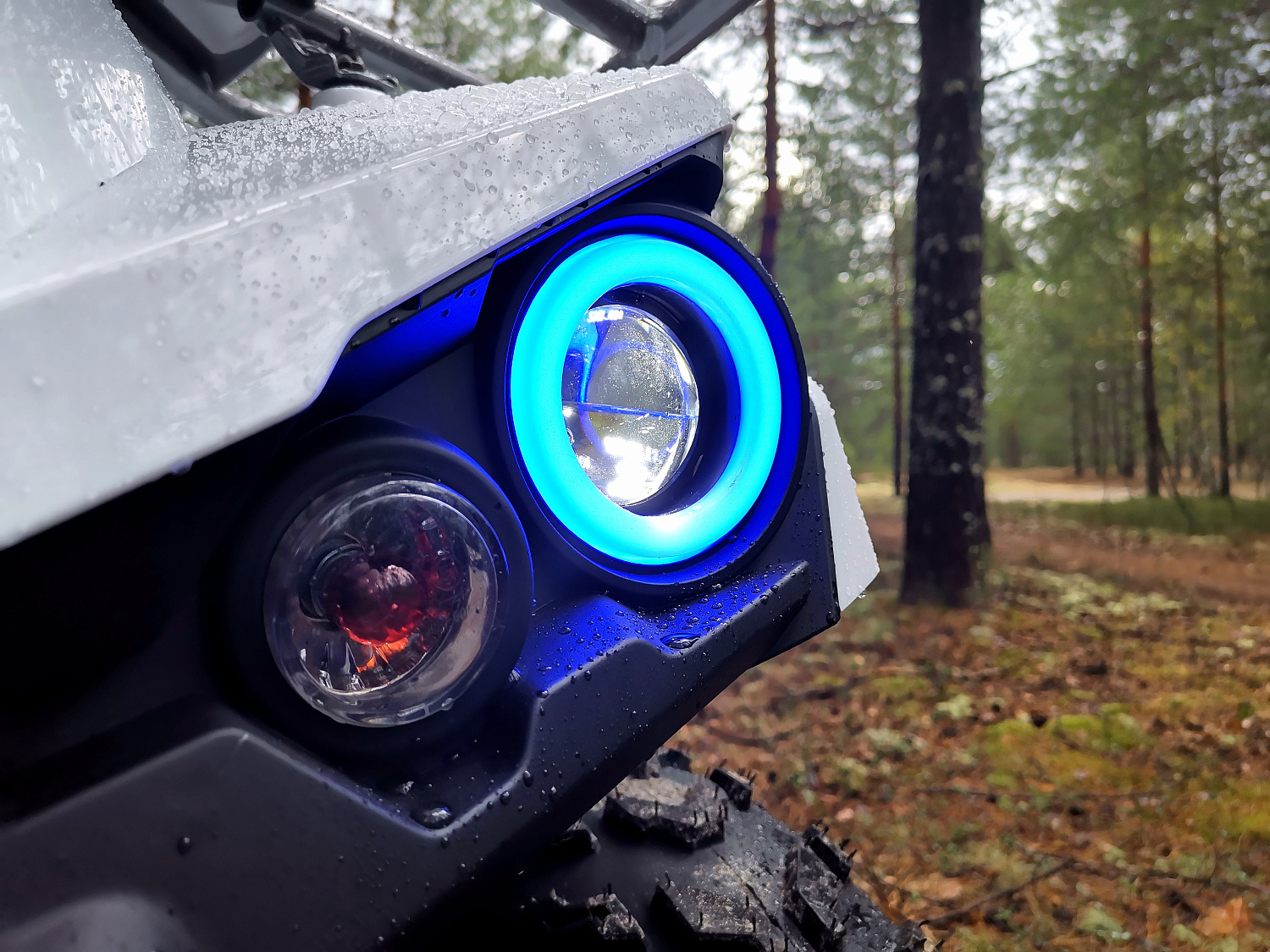 Квадроцикл PROMAX RENEGADE 280 (2025) в Омске