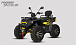 Квадроцикл PROMAX TAURUS 300 MAX-PRO LONG в Омске